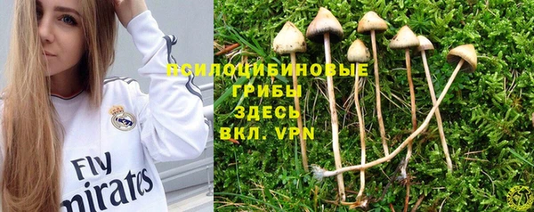 амф Алексин