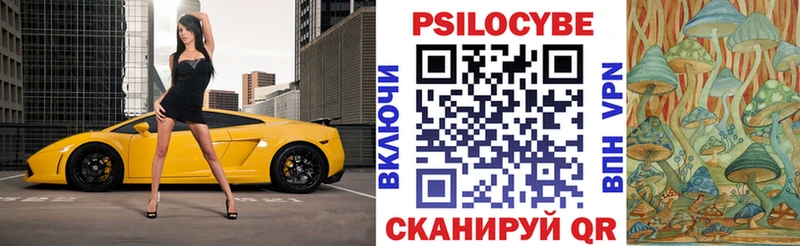Псилоцибиновые грибы мухоморы  закладки  Новопавловск 